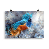 "februstar" poster 50×70 cm
