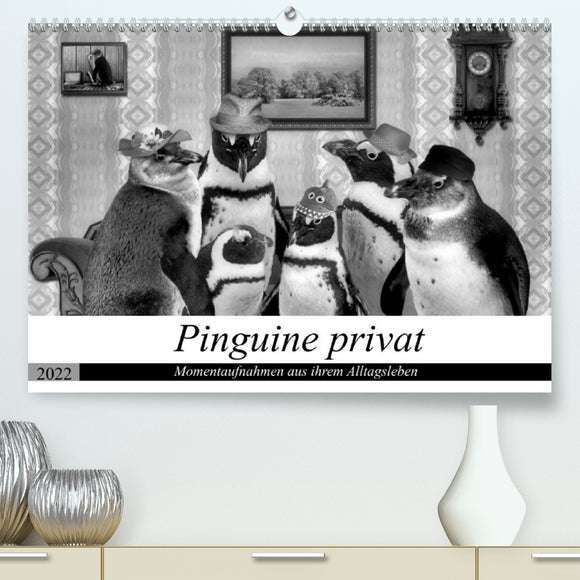 pinguine privat - kalender 2022