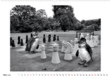 pinguine privat - kalender 2022