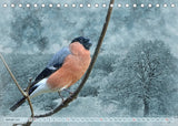 vögel, viecher und fraktale - kalender 2022