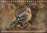 vögel, viecher und fraktale - kalender 2022