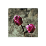 "himmelsblüten - tulpen" premium-kissenbezug 18×18