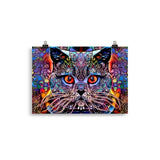 "multicolour cat" poster 21×30 cm
