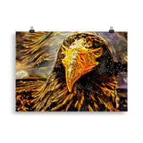 "golden eagle" poster 50×70 cm