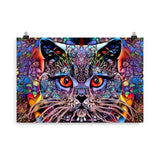 "multicolour cat" poster 61×91 cm