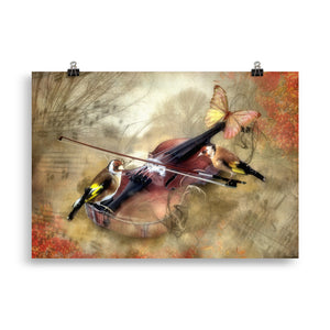 "violinpfeifer" poster 70×100 cm