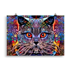 "multicolour cat" poster 70×100 cm